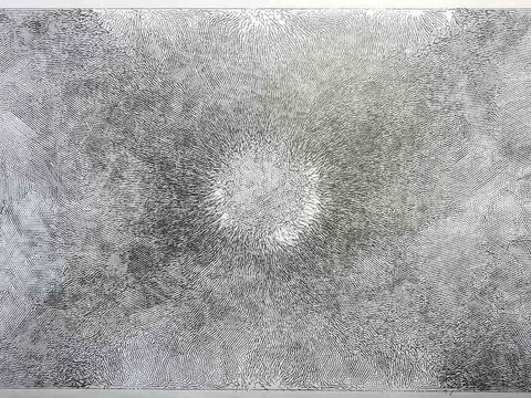 Fluid Drawings