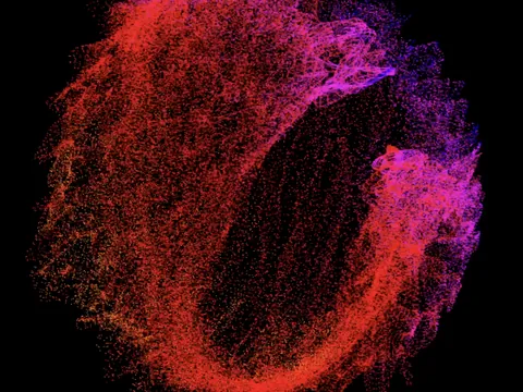Particle Explorations